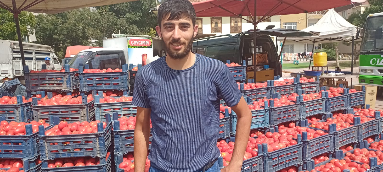Salçalık domates fiyatları 2 kat arttı