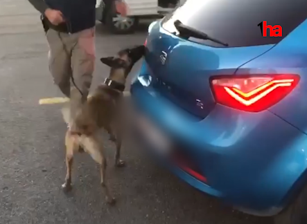 Uyuşturucu madde operasyonunda 2 gözaltı