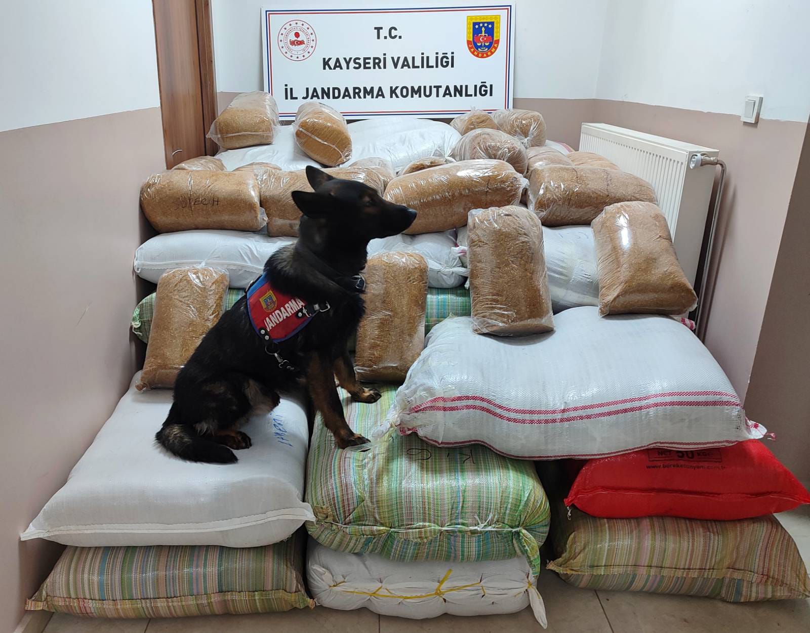 Bin 500 kilogram bandrolsüz kıyılmış tütün ele geçirildi