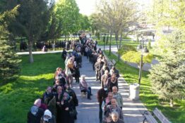 DOMATES FİDESİ DAĞITIMI 3 FARKLI NOKTADA GERÇEKLEŞECEK