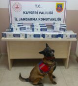 JANDARMA EKİPLERİ 830 PAKET KAÇAK SİGARA ELE GEÇİRDİ