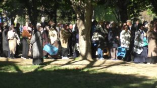 KOCASİNAN BELEDİYESİ’NDEN ORGANİK DOMATES FİDESİ DAĞITIMI