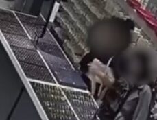 Gözlük hırsızları yakalandı