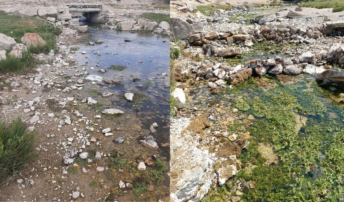 Uzunyayla alarm veriyor: Patatesçiler zamantı ırmağını kuruttu!