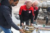 Yamula’da Türk Somonu hasadı için balık transferi gerçekleştirildi