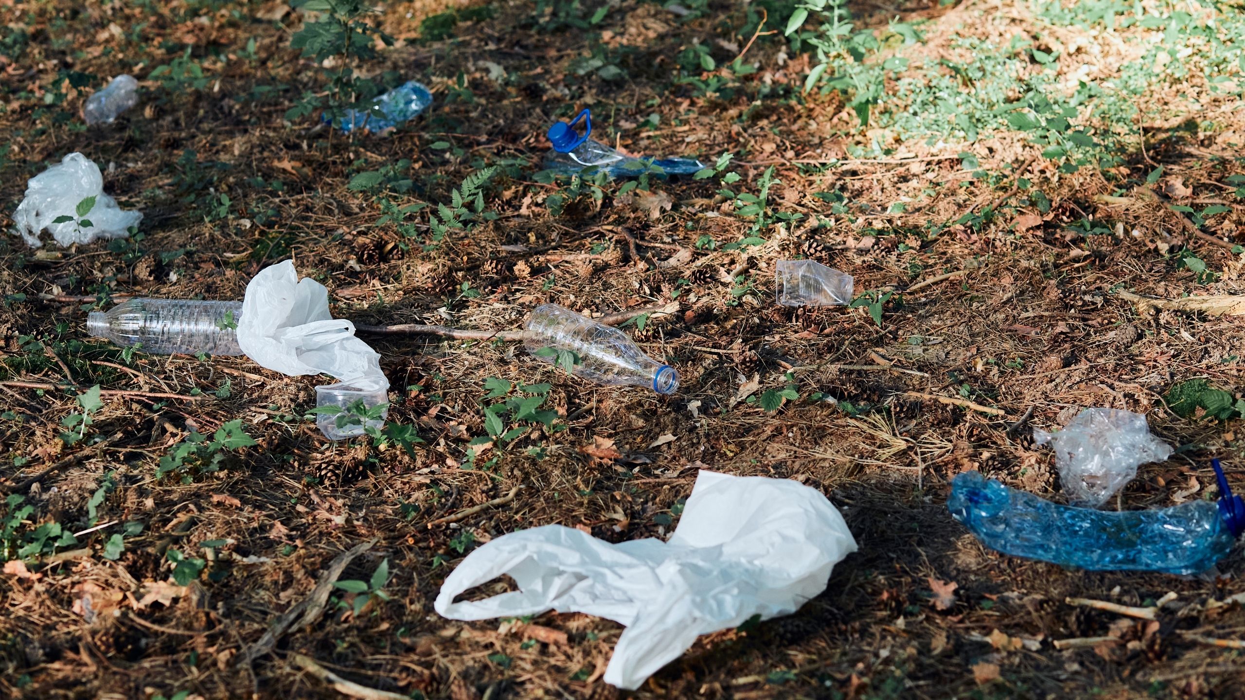 2026 yılında yere çöp atmanın cezası belli oldu