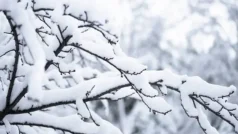 Kayseri’de hafta sonu kar ve soğuk hava bekleniyor