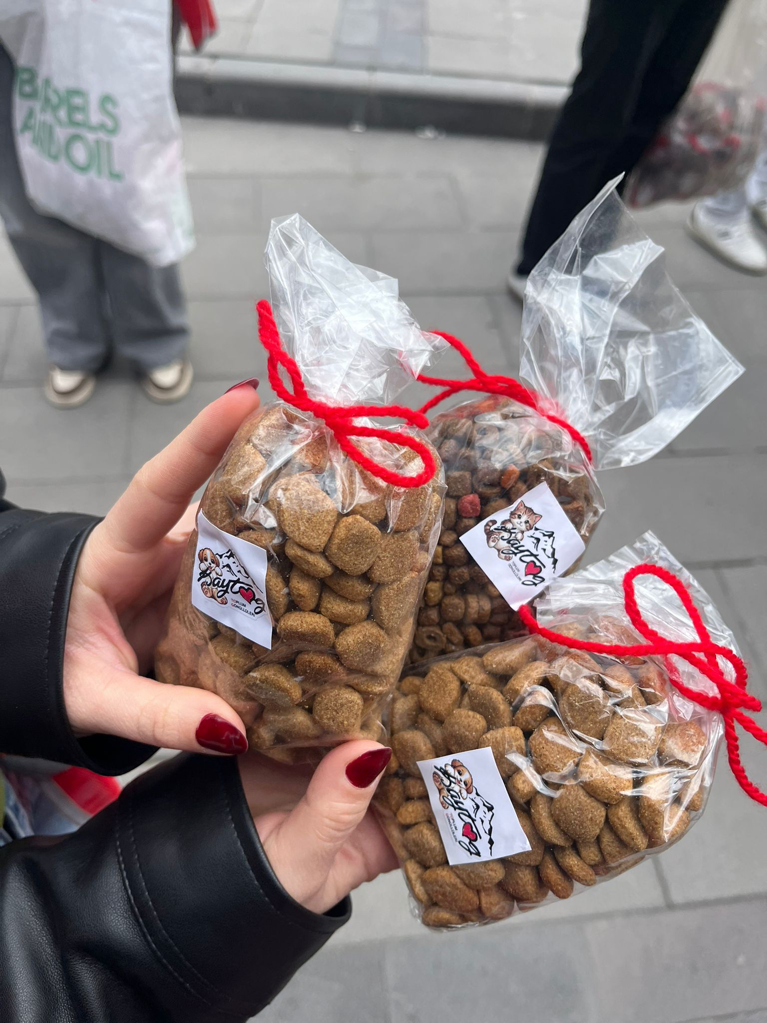 Üniversiteli gönüllü öğrencilerden Dünya Sokak Hayvanları Gününde anlamlı etkinlik