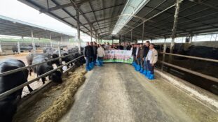 Kayseri’de manda yetiştiriciliğine bütüncül destek
