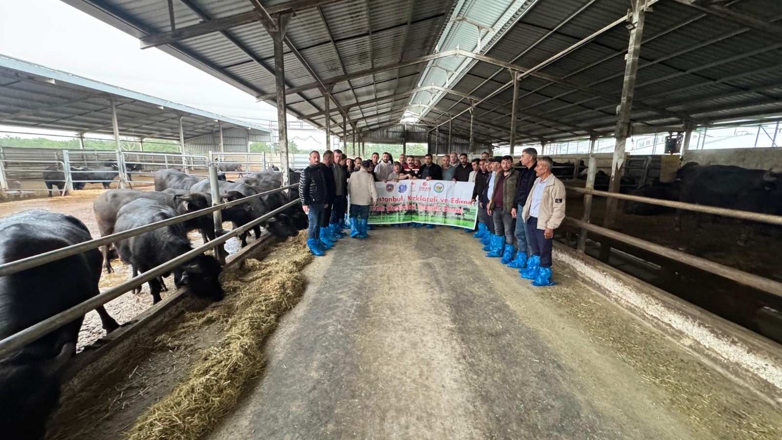 Kayseri’de manda yetiştiriciliğine bütüncül destek